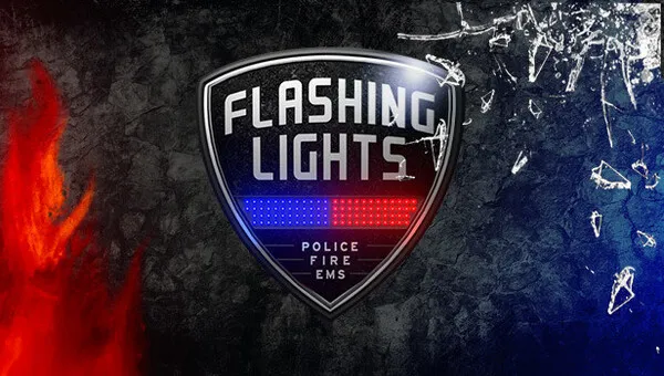 Download Flashing Lights Police Firefighting Emergency Services Simulator Build 110523-3 (v1.0 Release)-FitGirl Repack