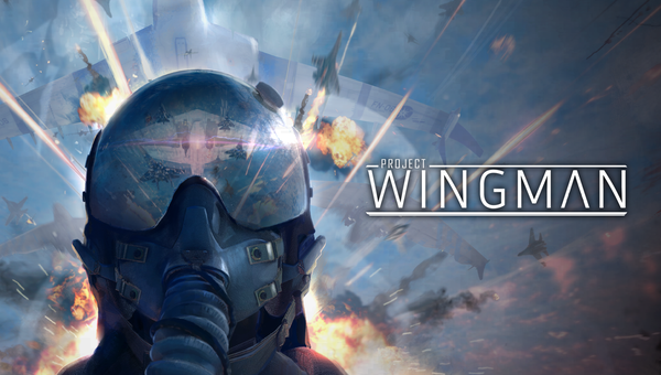 Download Project Wingman Build 12334196